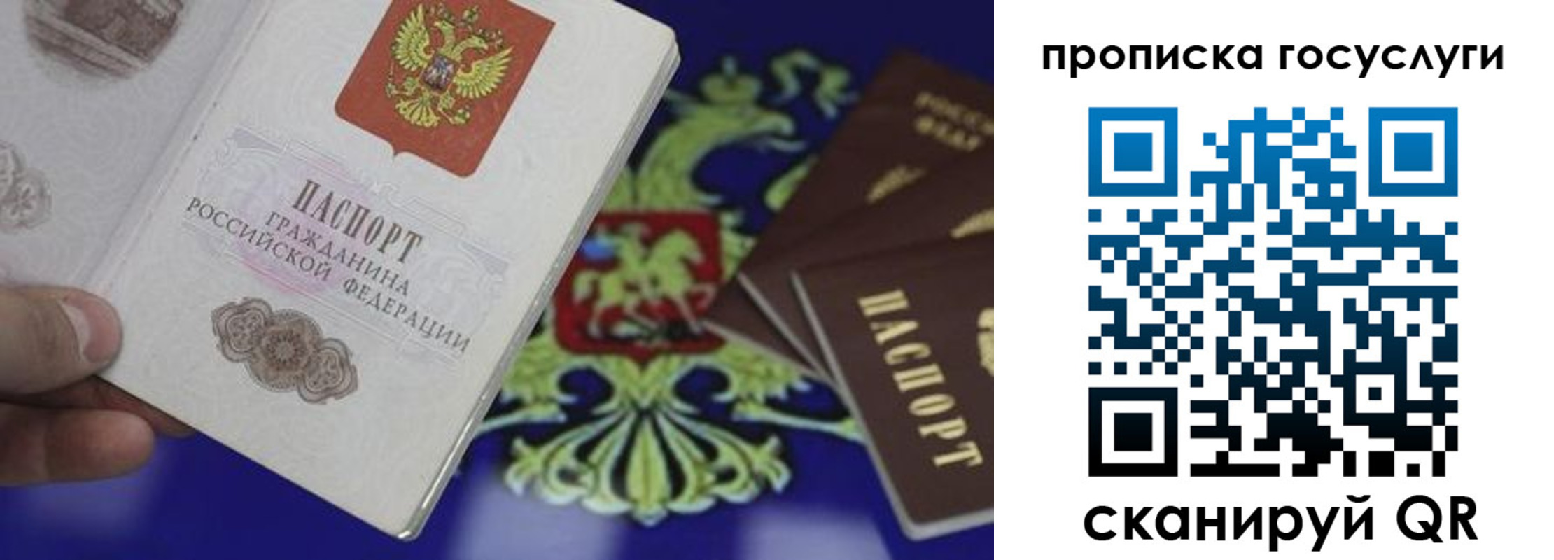регистрация для школы в Тосно